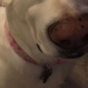 Meet your Posher, Claire